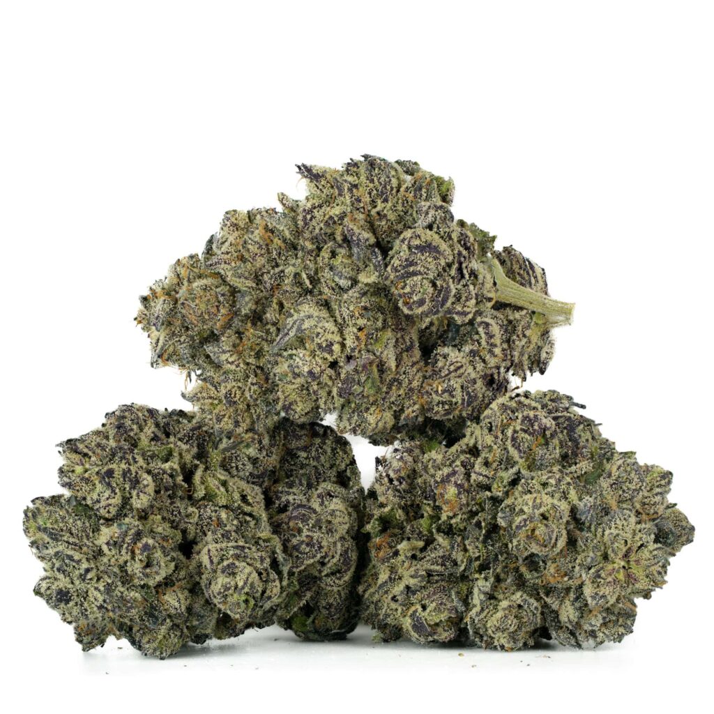 Black Truffle