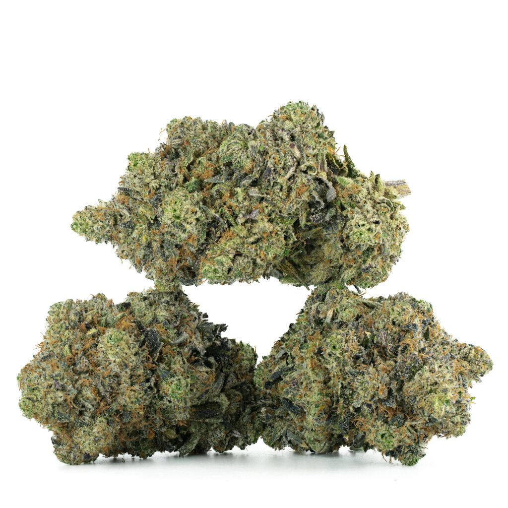 King Louis XIII
