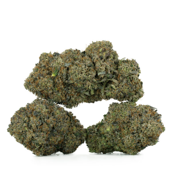 Mike Tyson by Pluto Craft Cannabis